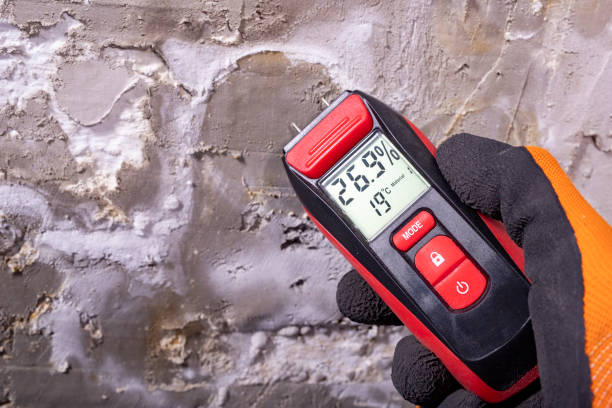 Best Professional Mold Removal  in Glenwood Springs, CO